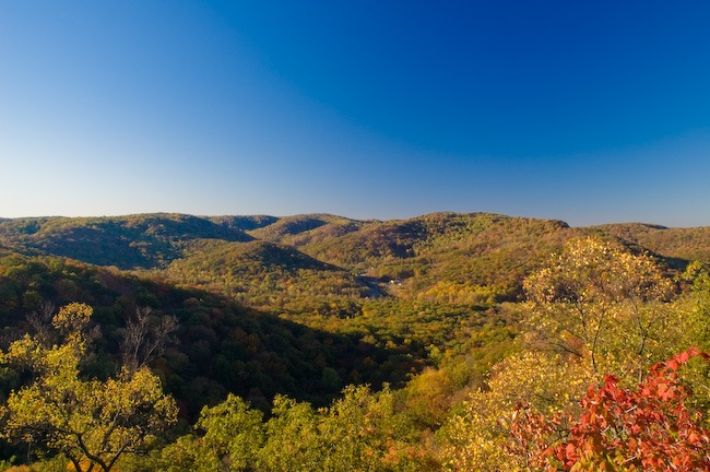 Berea Forest Hiking